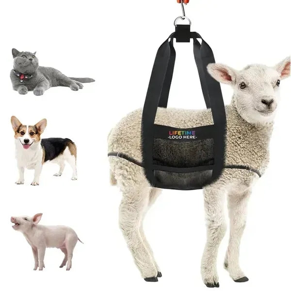 Sling for Weighing Animals