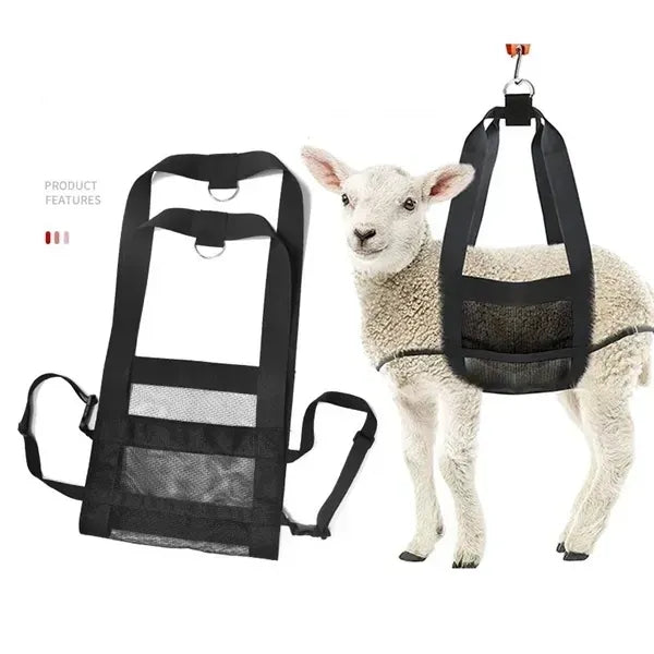Sling for Weighing Animals