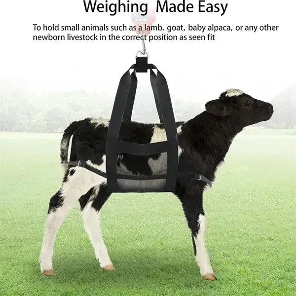 Sling for Weighing Animals