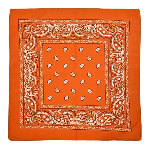 Paisley Print Head Wrap Scarf Wristband