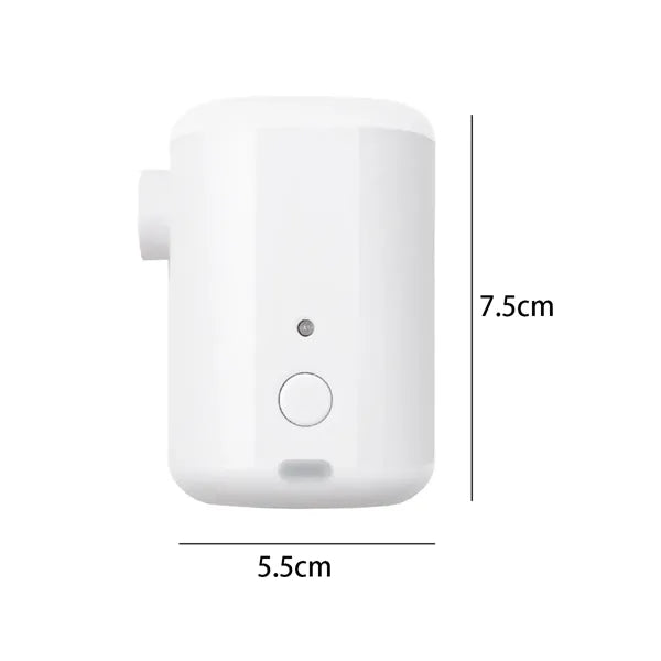 Portable Electric Air Pump
