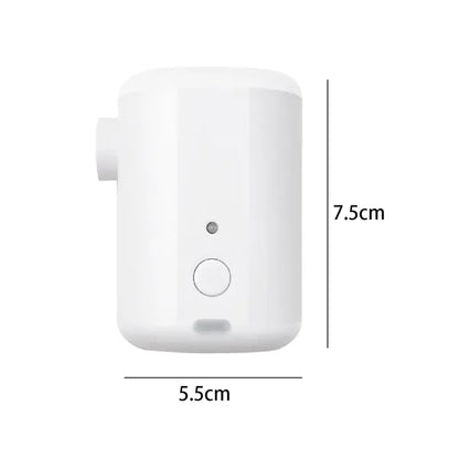 Portable Electric Air Pump