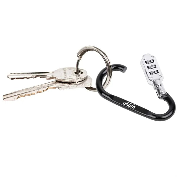 SecureLink Mini Carabiner Keychain