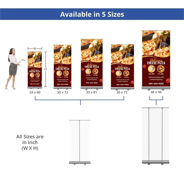 Economy Roll Up Stands - 48" x 96"