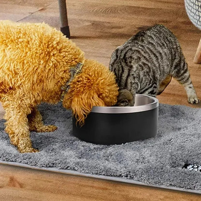 16oz Stainless Steel Pet Bowl with Color Coating