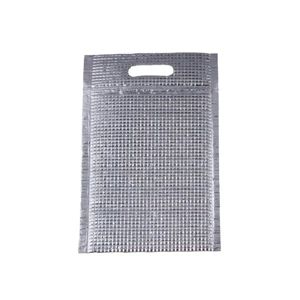 Disposable Cooler Bags with Zip Lock & Handle