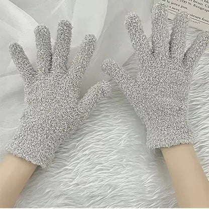 Home Dust Removal Gloves