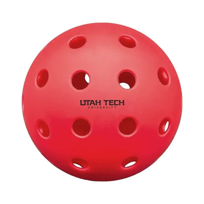 Outdoor Pickleball