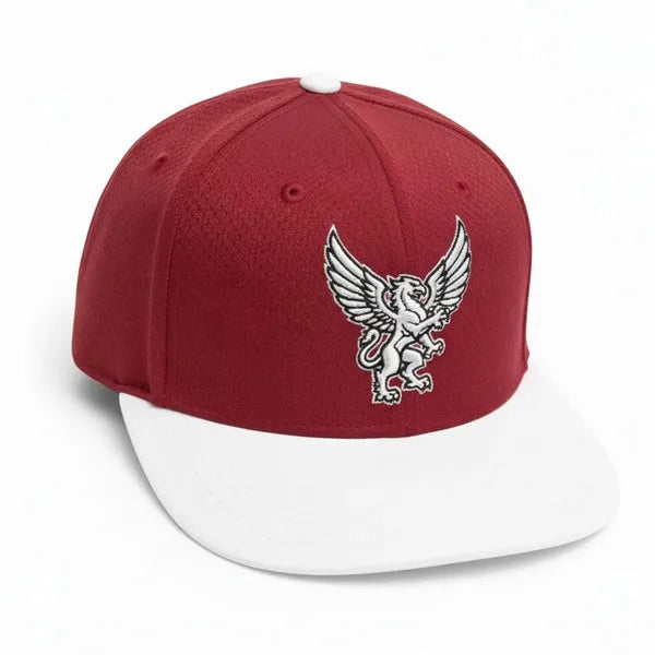 Structured BeeEye Lattice Baseball Cap w/ Front Embroidery