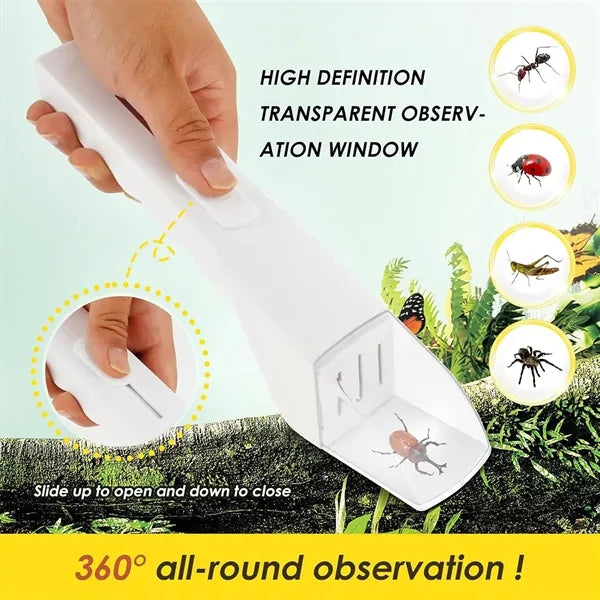 Quick release insect catching observer tool bug catcher