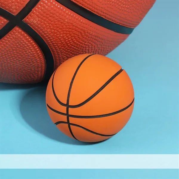 Lil' Slam Dunk Mini Bouncing Basketball