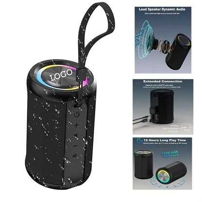 Portable speaker with AUX and TF card input