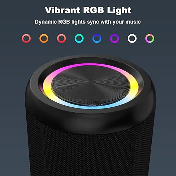 Portable speaker with AUX and TF card input
