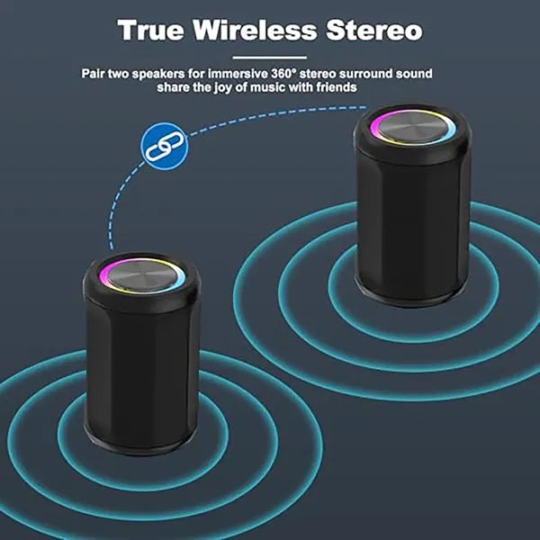 Portable speaker with AUX and TF card input