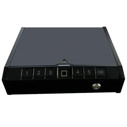 Biometric Fingerprint Handgun Safe Box