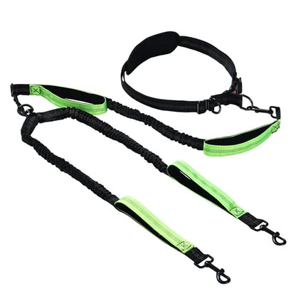 Multi-Function Pet Leash for Running & Fitness