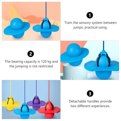 Pogo Ball with Handle