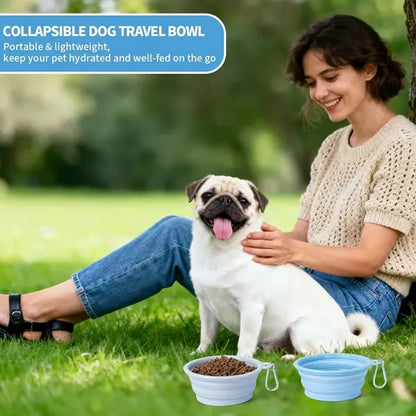 12oz Collapsible Pet Bowl For Travel Hiking Camping Cat Dog