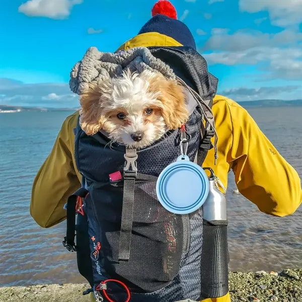 12oz Collapsible Pet Bowl For Travel Hiking Camping Cat Dog