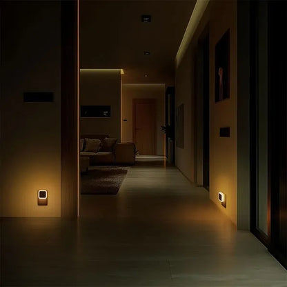 Night Light Plug into Wall