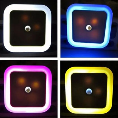 Night Light Plug into Wall