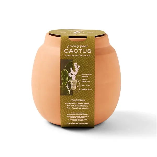 Modern Sprout Modern Terracotta Grow Kit Cactus