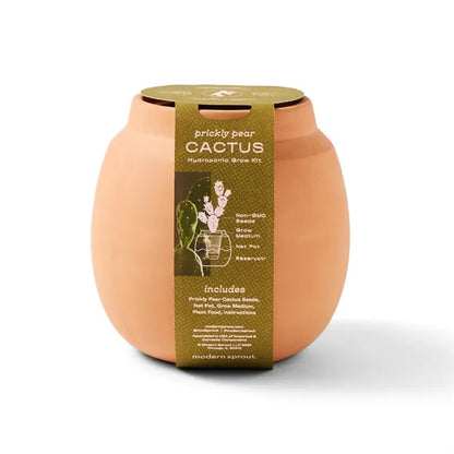 Modern Sprout Modern Terracotta Grow Kit Cactus