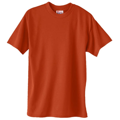 Hanes Heavyweight 50/50 Crew Neck Tee - Dark/Color
