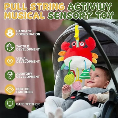 Crab Baby Toy