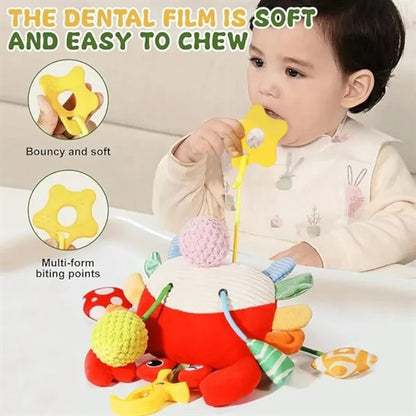 Crab Baby Toy