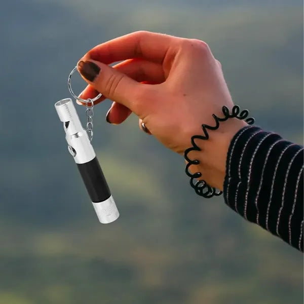 3-in-1 Whistle Flashlight Compass Keychain