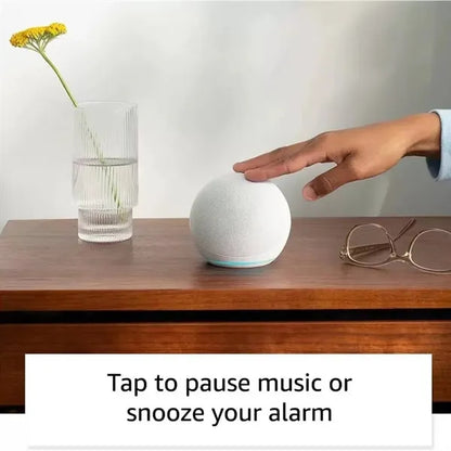 Multifunction Wireless Bluetooth Smart Voice Speaker