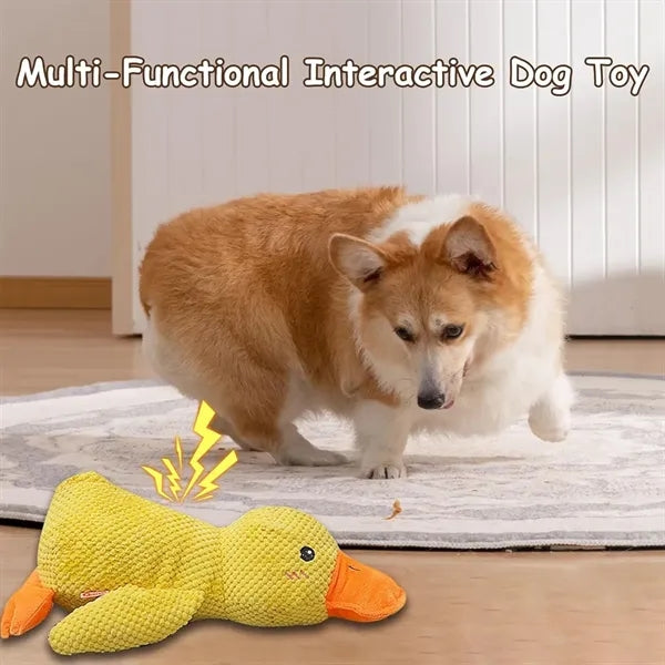 Durable Squeaky Dog Toys