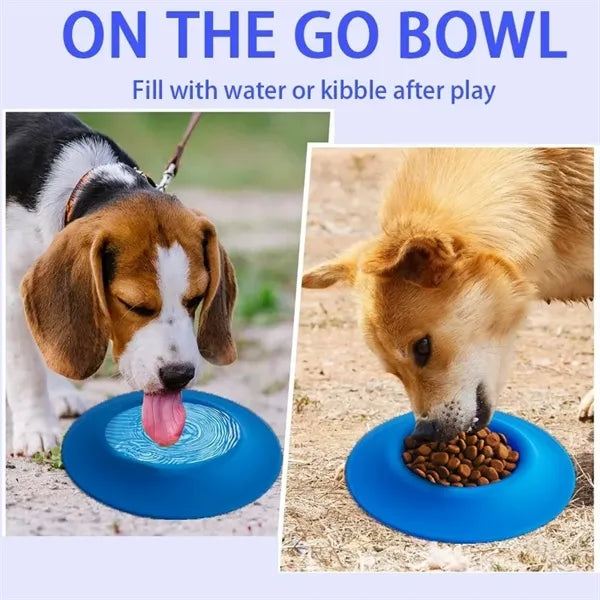 2-in-1 Flying Disc & Dog Bowl