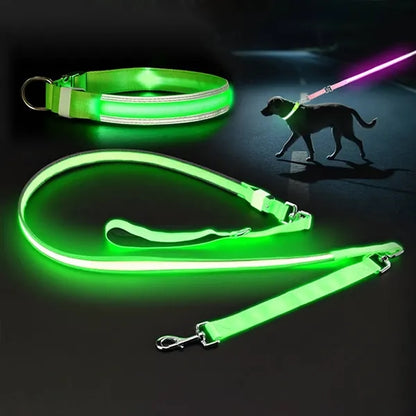 Glowing LED Pet Collar Leash
