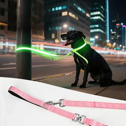 Glowing LED Pet Collar Leash