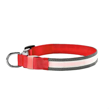 Rechargeable LED Light Up Dog Collar