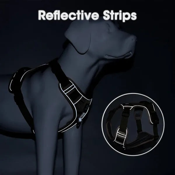 Medium Dog Harness