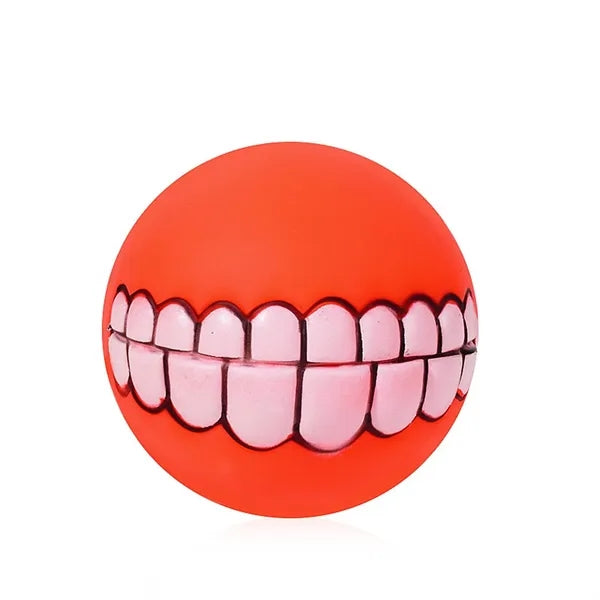 Dog Squeaky Chew Toy
