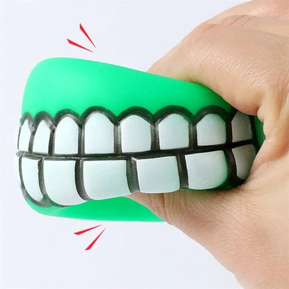 Dog Squeaky Chew Toy