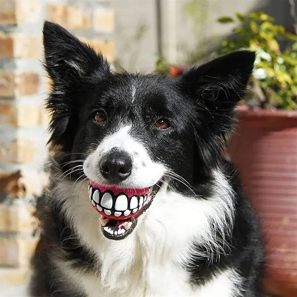 Dog Squeaky Chew Toy