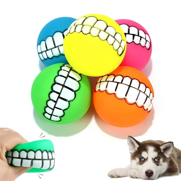 Dog Squeaky Chew Toy