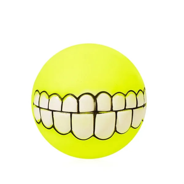 Dog Squeaky Chew Toy