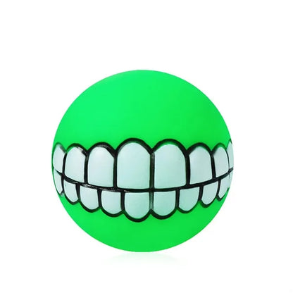 Dog Squeaky Chew Toy