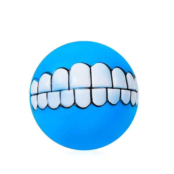 Dog Squeaky Chew Toy