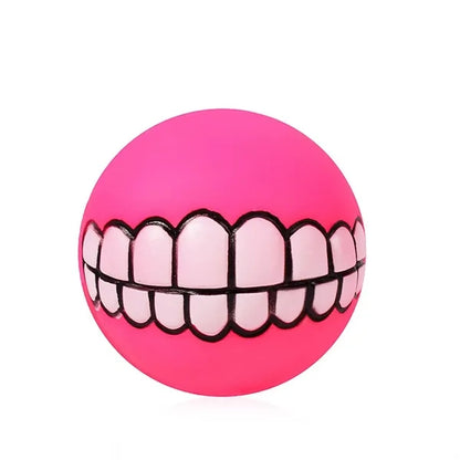 Dog Squeaky Chew Toy