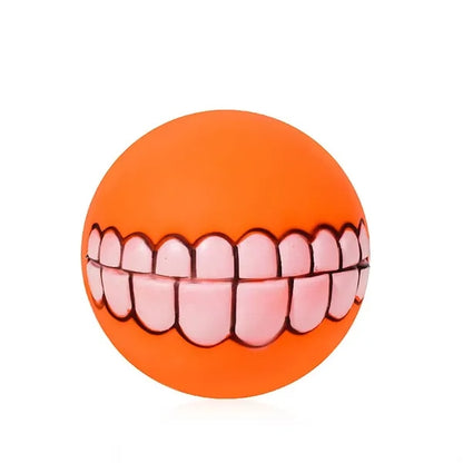 Dog Squeaky Chew Toy