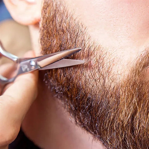 4pcs Beard Grooming Kit