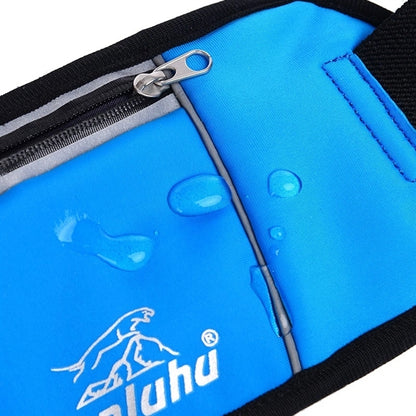 Fanny Waist Pack