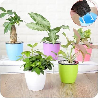 Colorful Automatic Self-watering Planter Pot